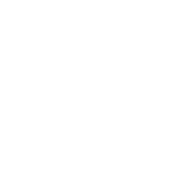 Logo w stopce strony